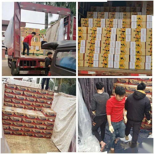 同舟共冀，共同战“疫”——河北博泉集团捐赠32吨澄迈农产品支援抗疫一线