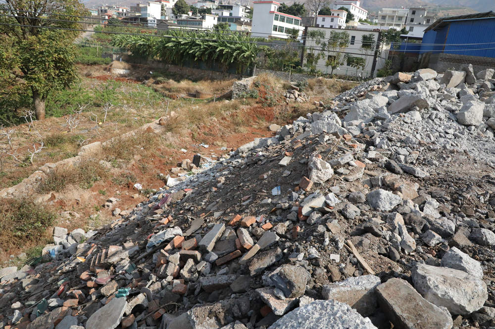 让一片瓜田又绿油油 从荒芜到丰茂的生态设计实践